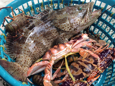 探海鮮萬山 | 海鮮美食節探鮮團招募，免費吃喝玩樂等你來！