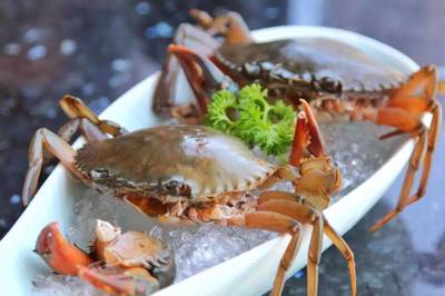 198元龍蝦海鮮拼盤免費送！品味鮮香，暢享海鮮火鍋盛宴